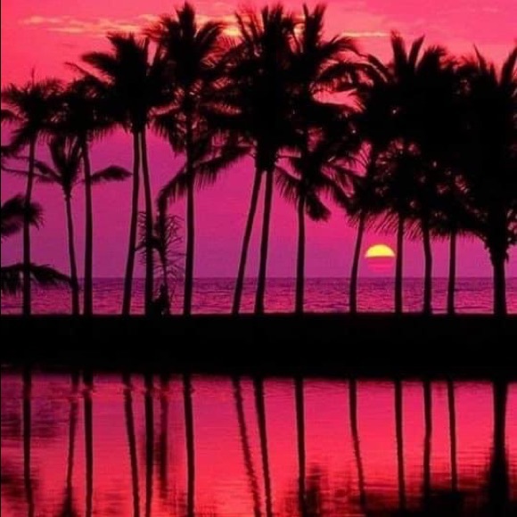 Meet your Posher, Dee - Picture 7 of 7